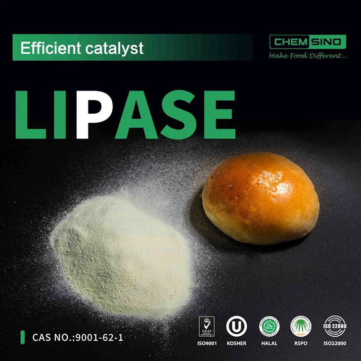 Säg adjö till matsmältningsbesvär: Prova Lipase Enzyme idag!CAS-NR:9001-62-1