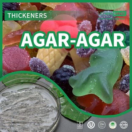 Hög renhet Agar Agar CAS 9002-18-0 Leverantör