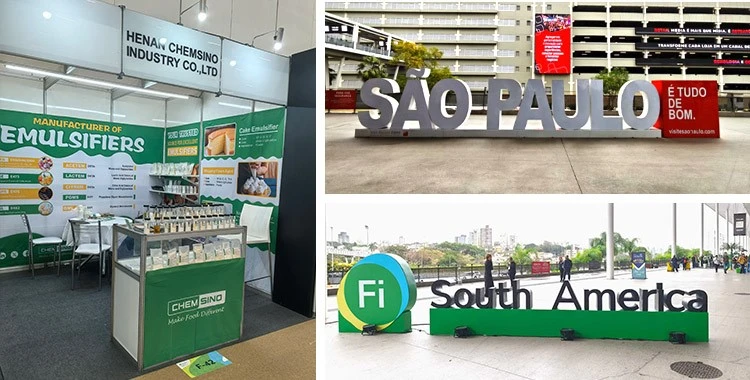 FOOD INGREDIENTS SOUTH AMERICA 2025 FOOD INGREDIENTS SOUTH AMERICA 2025