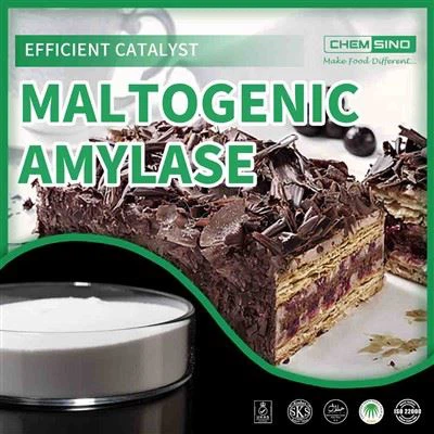 Maltogenic Amylase: The Flavour Engineer Behind Your Best Dishes.CAS NO. 9000-92-4
