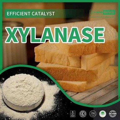 X-Factor Enzyme: CAS 9025-57-4 Xylanas avslöjat!