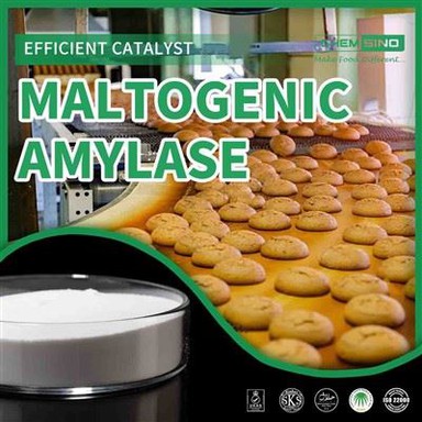 Lås upp Sweet Potential: Välj Maltogenic Amylase For Culinary Excellence.CAS NO. 9000-92-4