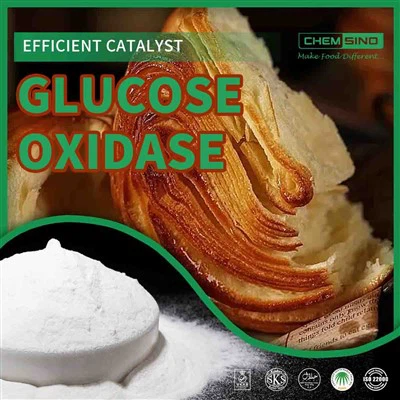 Deg   Balsam   Glukos   Oxidas   Enzym
